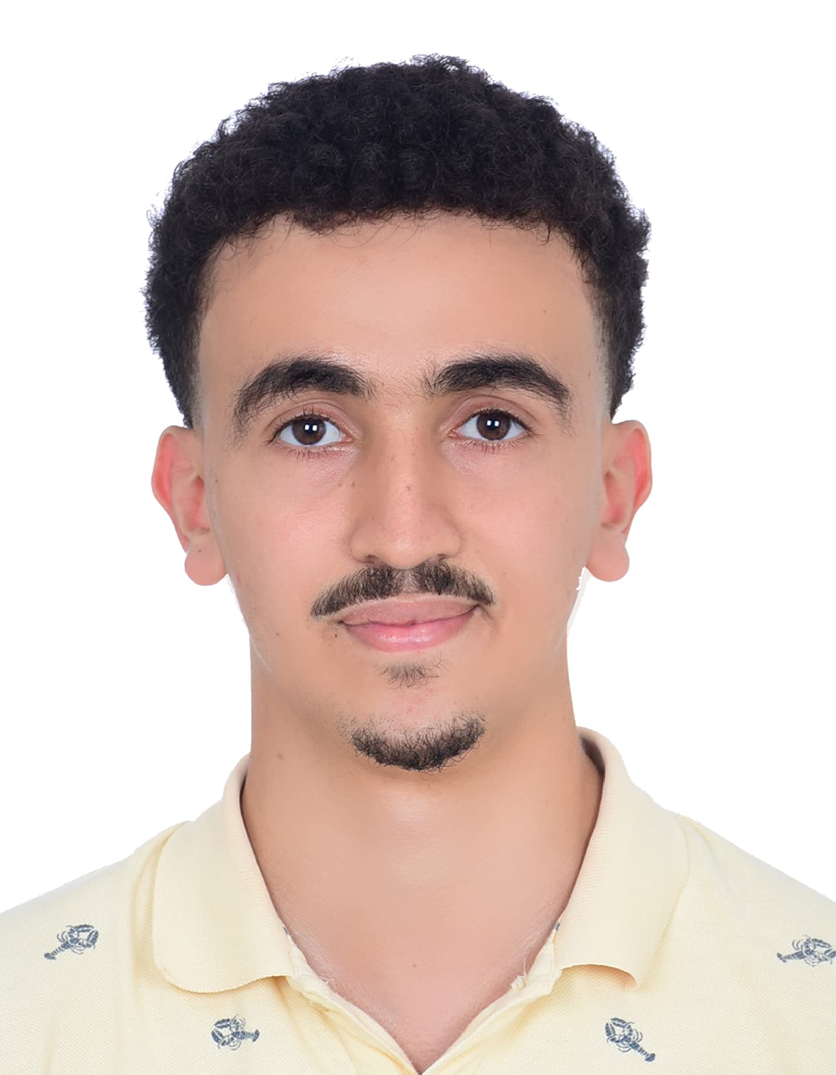 Cybersecurity engineering student profile
